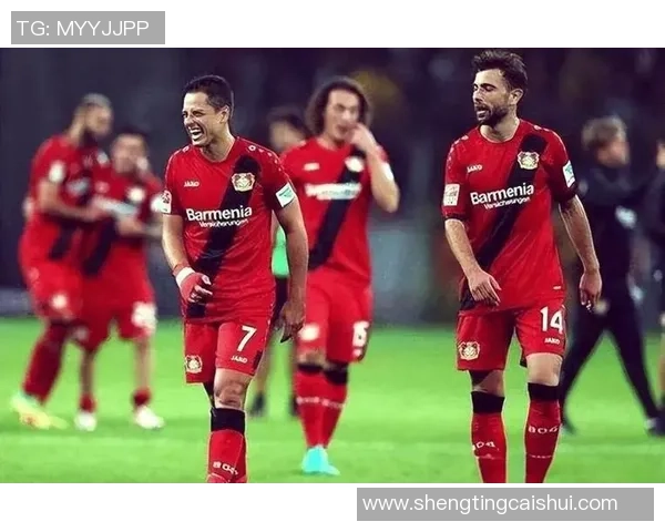 武汉网球队的崛起与挑战：深度解析他们的训练与比赛状态